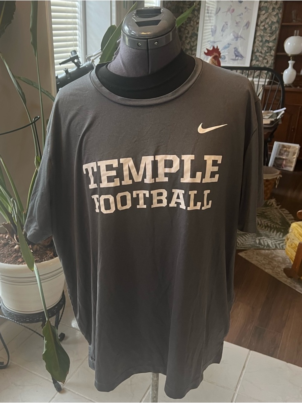 Nike Gray Temple Football Tee with White Logo